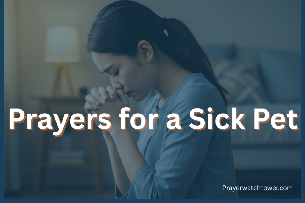Prayers for a Sick Pet