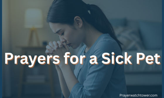Prayers for a Sick Pet