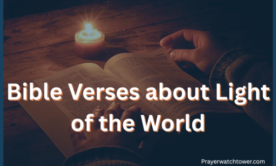 Bible Verses about Light