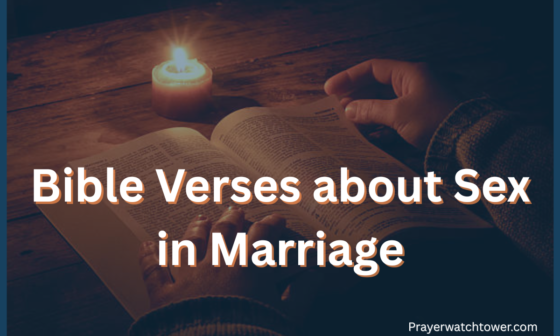 Bible Verses about Sex in Marriage