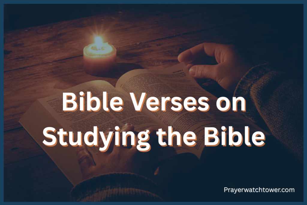 Bible Verses About Studying the Bible
