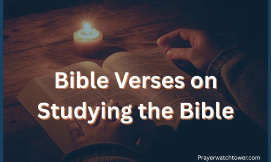 Bible Verses About Studying the Bible