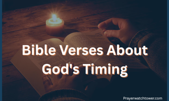 Bible Verses About God's Timing