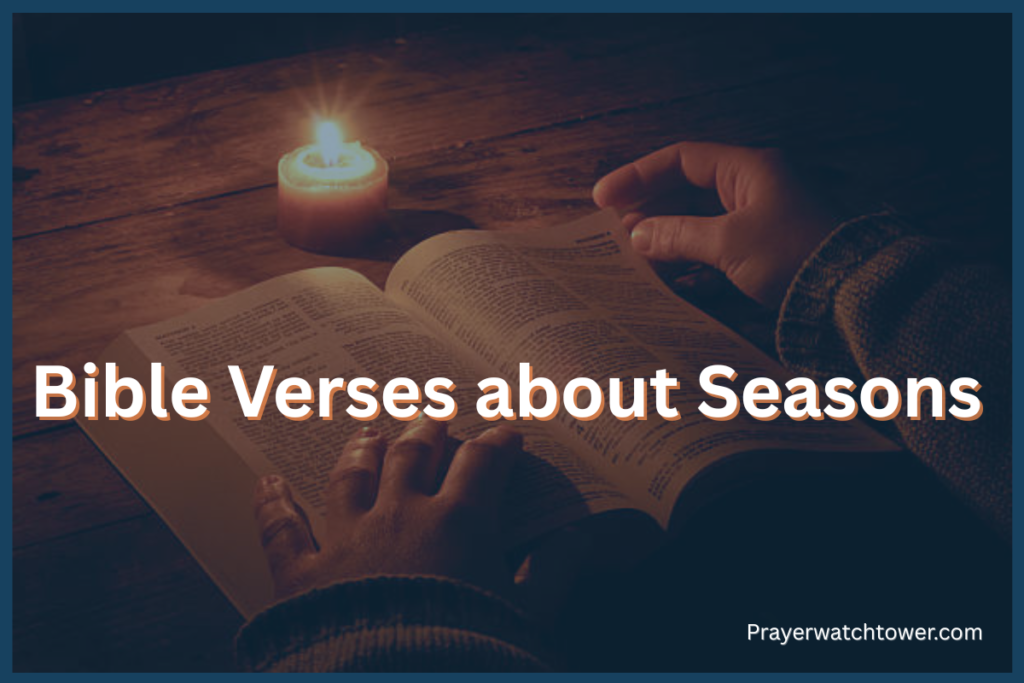 Bible Verses about Seasons