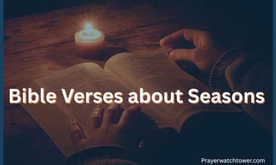 Bible Verses about Seasons