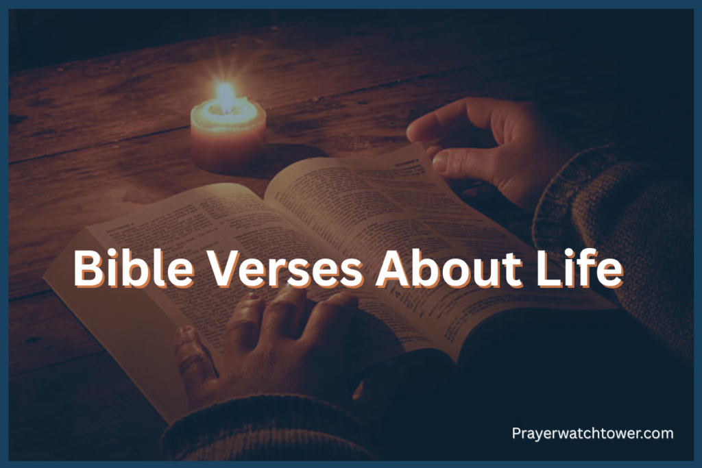 Bible Verses About Life