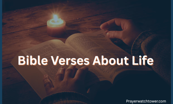 Bible Verses About Life