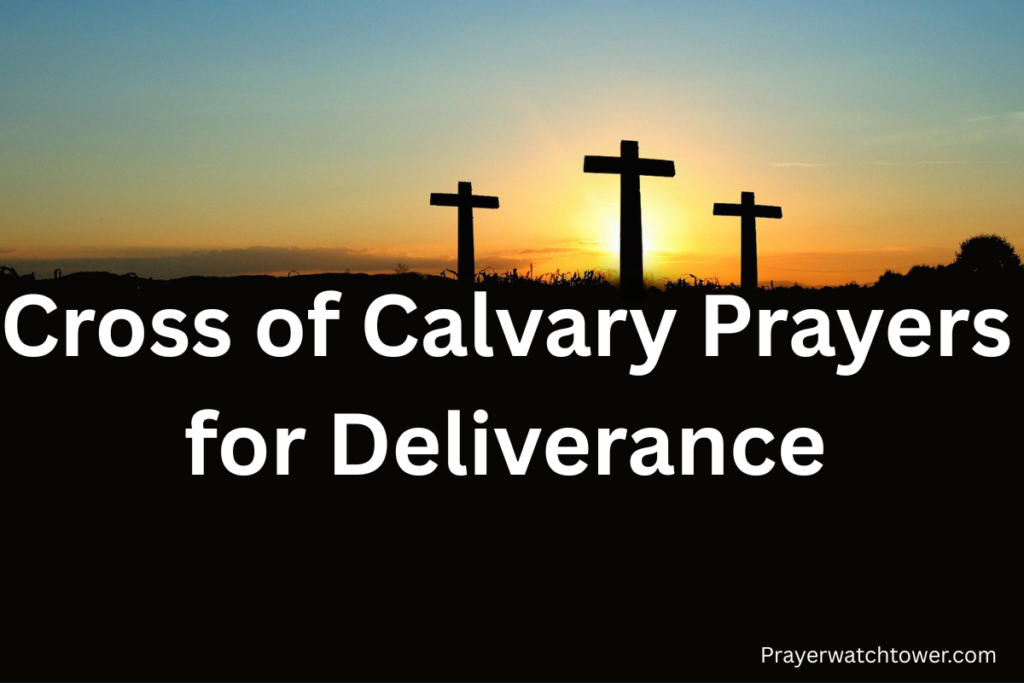 Add a heading - 2026-04-01T162131.480