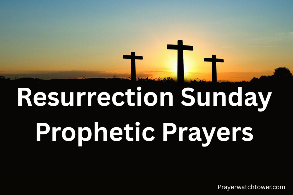 Add a heading - 2026-04-01T214721.250