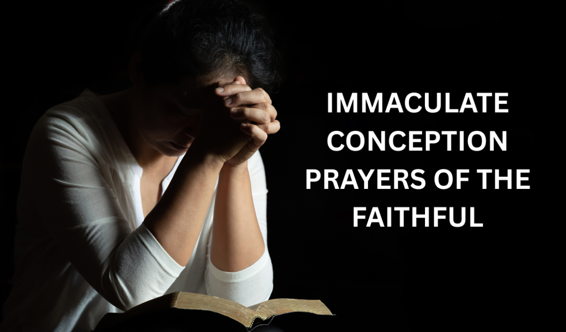 Immaculate conception prayers of the faithful