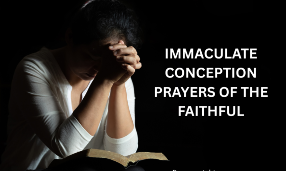 Immaculate conception prayers of the faithful