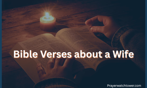 Bible Verses about a Wife