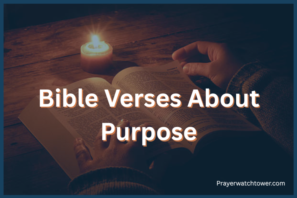 Bible Verses About Purpose