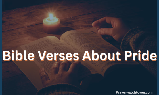 Bible Verses About Pride