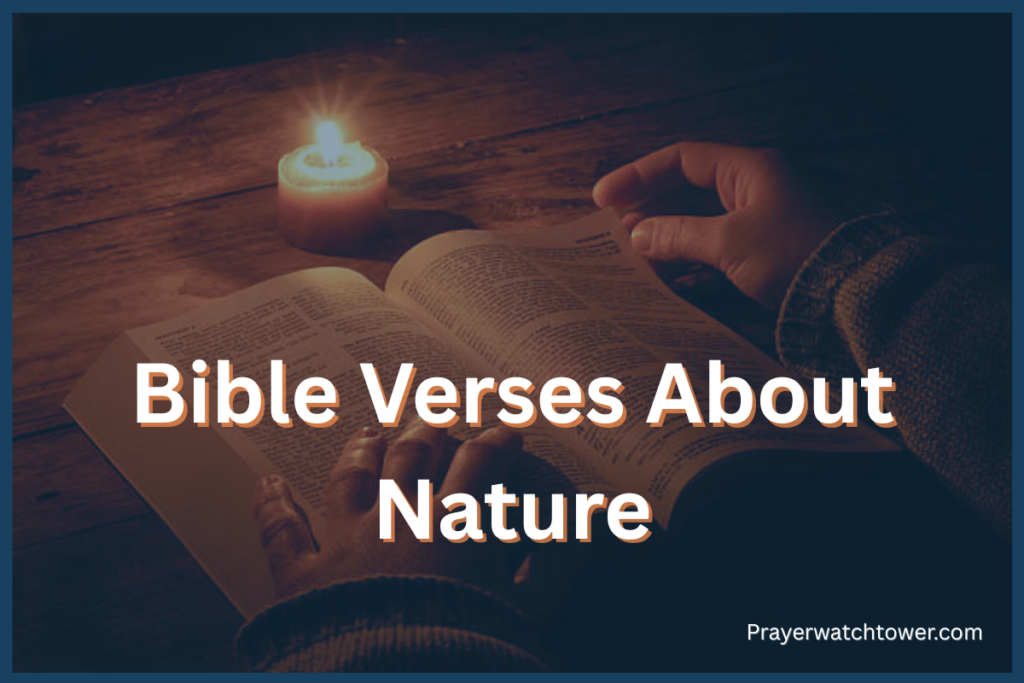 Bible Verses About Nature