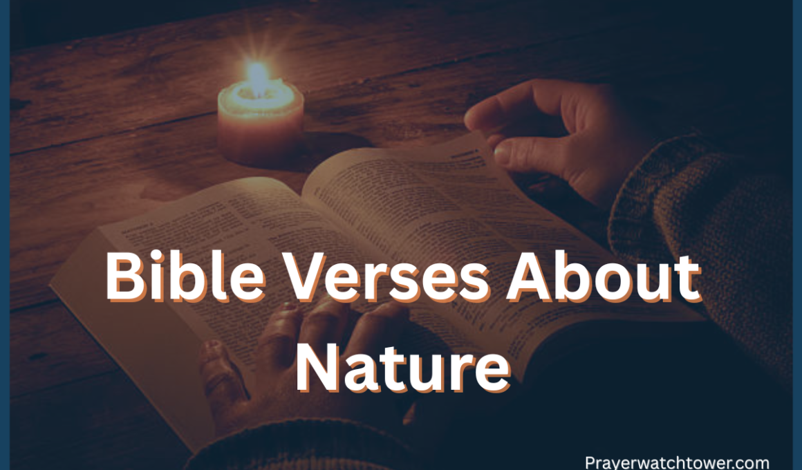 Bible Verses About Nature