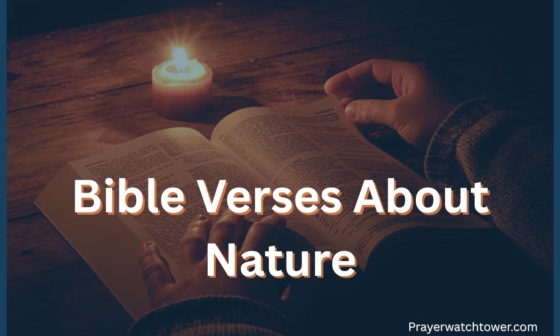 Bible Verses About Nature