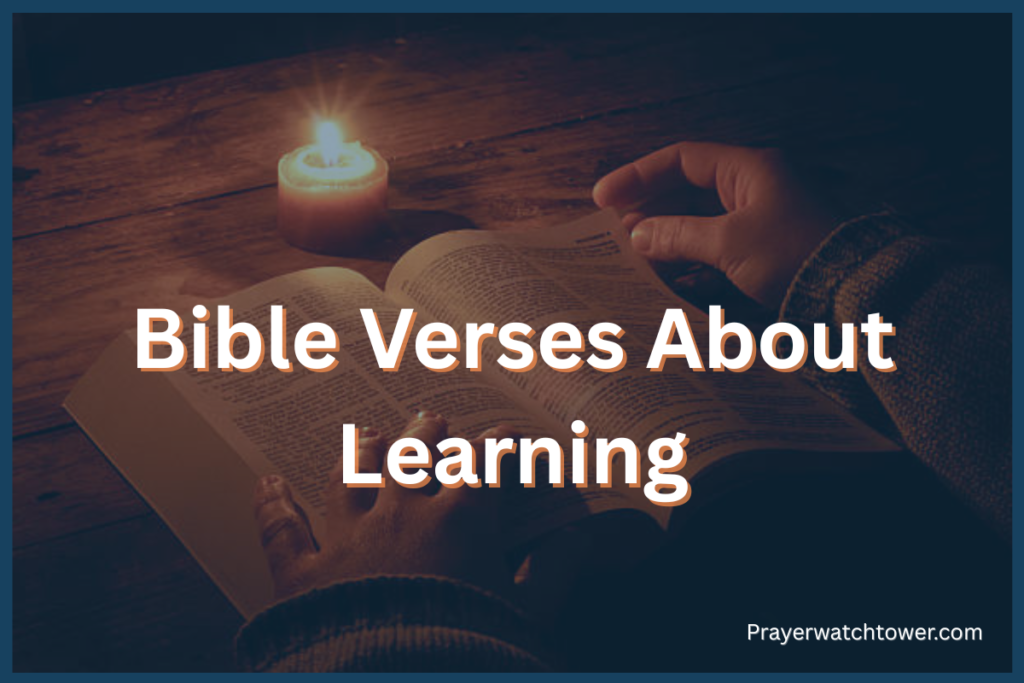 Bible Verses About Learning