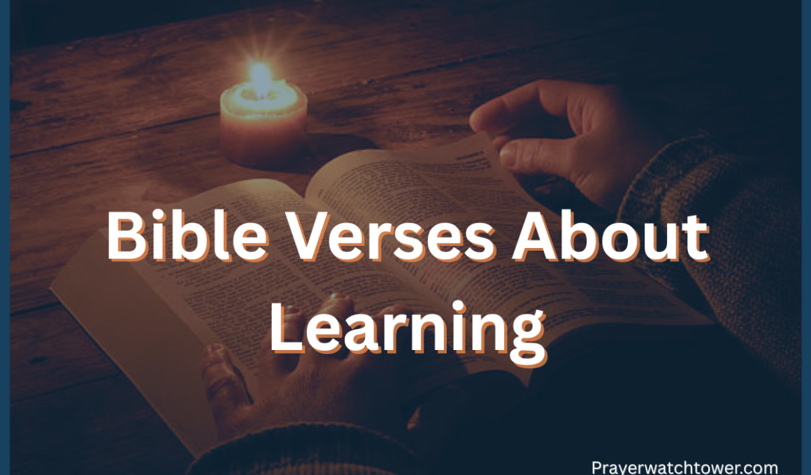 Bible Verses About Learning