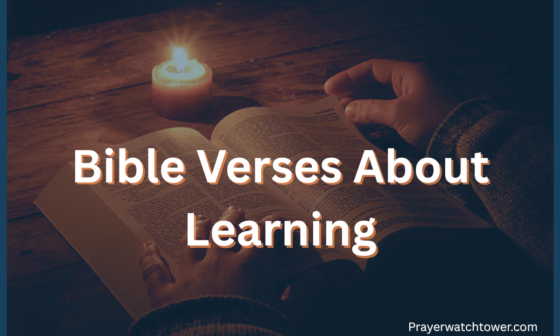 Bible Verses About Learning