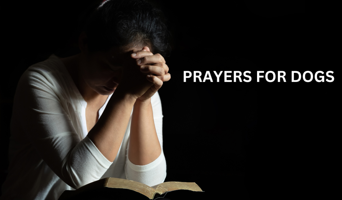 Prayers for Dogs