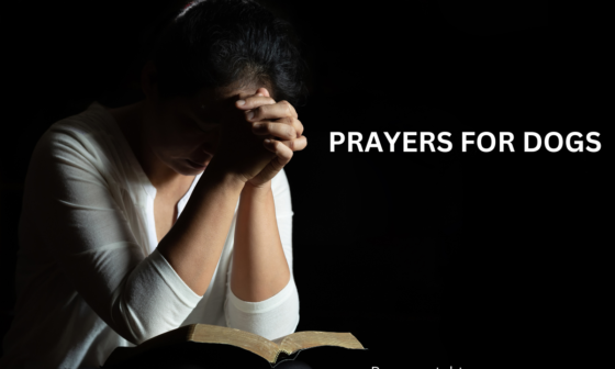 Prayers for Dogs